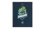 ������� 1-11 ����� 40 �., �������, BRAUBERG, ������� ���������, "Dragon", 107178 �����