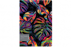 �����-������ Berlingo "Neon Paradise" �4, 200���, � �������� �����