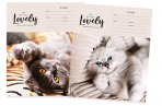 ������� 12������ ArtSpace "�������. Lovely Cat", ������ �����
