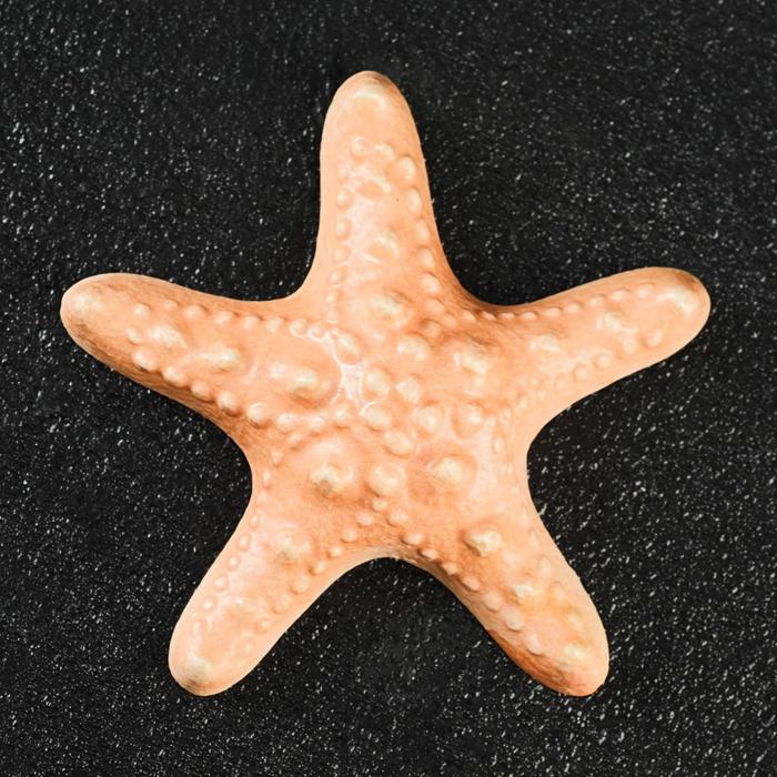 Фигура с подвесом "Морская звезда" коралловый, 12х12х2 см оптом