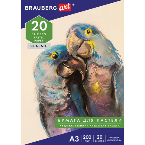    3, 20 .,    200 /2,  , BRAUBERG ART, 126304 