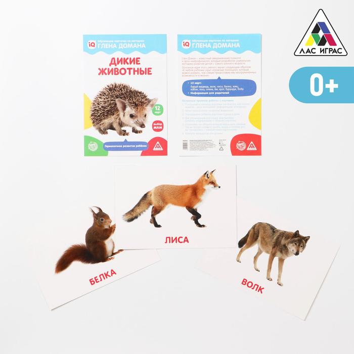 Обучающие карточки по методике Глена Домана «Дикие животные», 12 карт, А5 оптом
