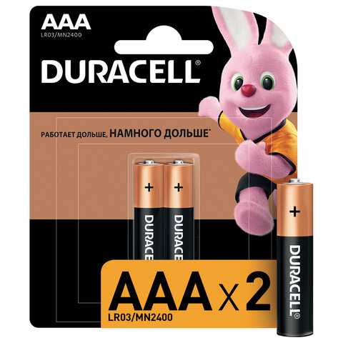 Батарейки КОМПЛЕКТ 2 шт., DURACELL Basic, AAA (LR03, 24А), алкалиновые, мизинчиковые, блистер оптом