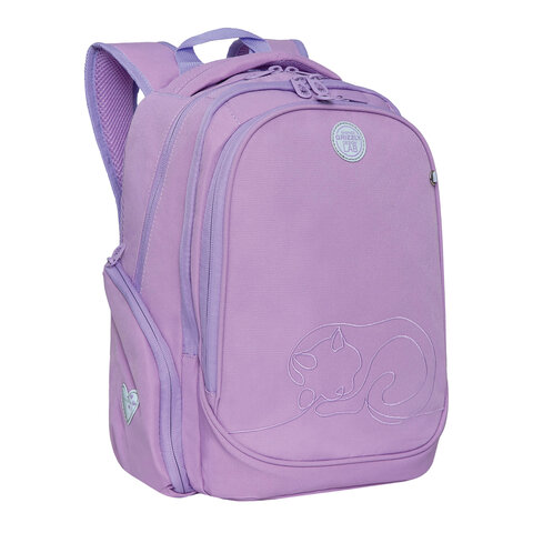 Рюкзак GRIZZLY школьный, анатомическая спинка, 2 отделения, с вышивкой, для девочек, "PINK", 39х30х20 см, RG-268-1/1 оптом