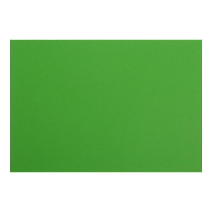 Картон цветной тонированный А4, 200 г/м?, зелёный оптом