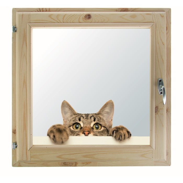 Окно 100х100 см, "Кошак", однокамерный стеклопакет, уплотнитель, хвоя оптом