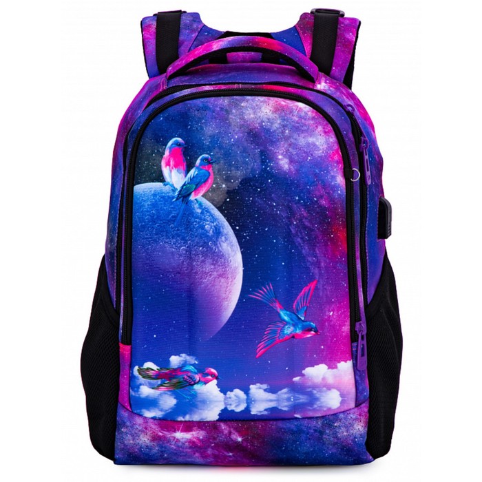 Школьный рюкзак, 2 отдела на молнии, цвет фиолетовый 32х9х39см оптом