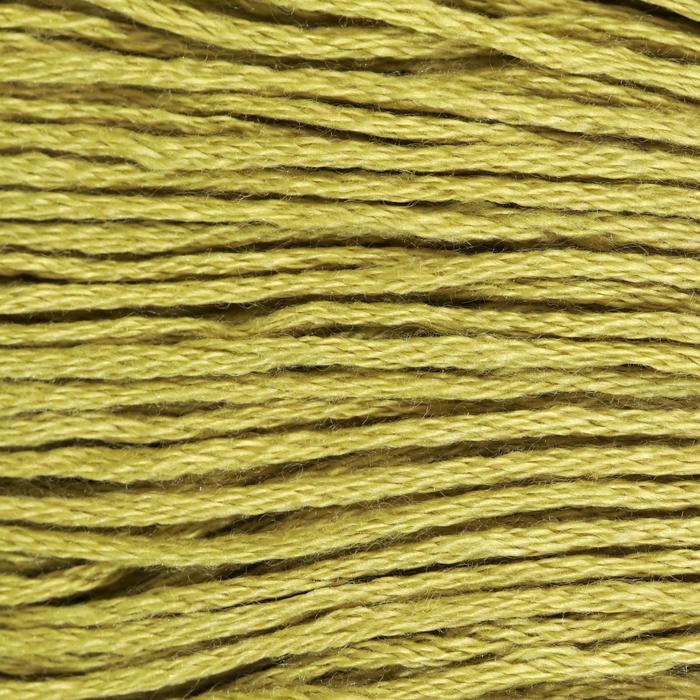 Нитки мулине, 8 ± 1 м, цвет светло-оливковый №3348 оптом