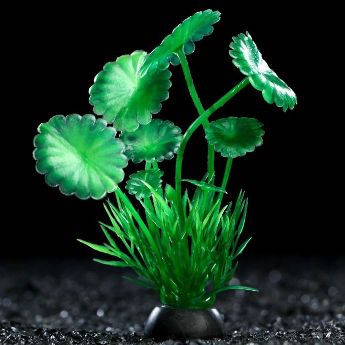 Растение искусственное аквариумное, 10 см, зелёное оптом