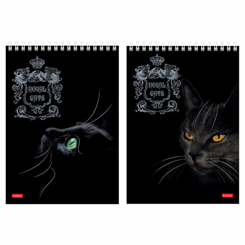  5 146215 , 80 ., , , , 3D , HATBER, "Royal Cats", 8051 