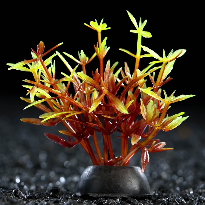 Растение искусственное аквариумное, 2,5 х 5 см, красно-зелёное оптом