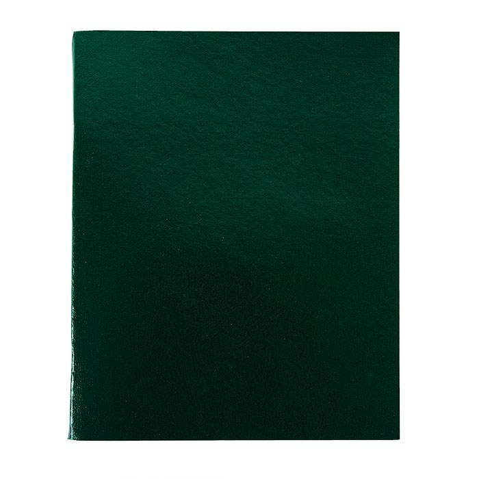 Тетрадь 96 листов LITE А4 в клетку, обложка бумвинил, на скрепке, зеленая оптом